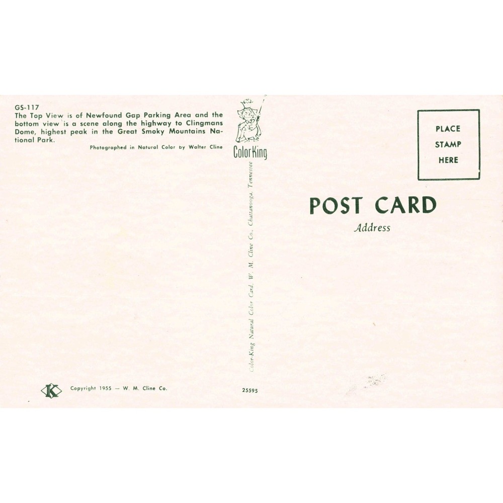 Vintage 1955 Great Smoky Mountains National Park Postcard Newfound Gap GS-117 - Picture 2 of 2